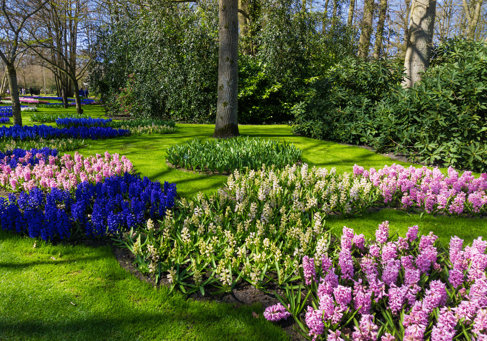 Creative Garden Edging Ideas For Every Budget